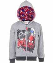 Spiderman sweater rits grijs