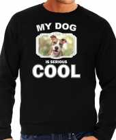 Staffordshire bull terrier honden sweater trui my dog is serious cool zwart heren 10256655