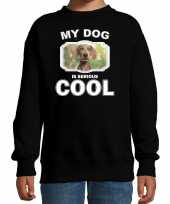 Weimaraner honden trui sweater my dog is serious cool zwart kinderen