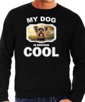 Yorkshire terrier honden sweater trui my dog is serious cool zwart heren 10256650